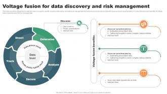 Voltage Fusion For Data Discovery And Risk Management