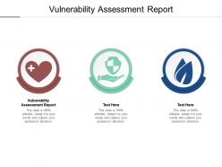 Vulnerability assessment report ppt powerpoint presentation summary information cpb