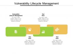 Vulnerability lifecycle management ppt powerpoint presentation outline graphics download cpb