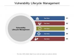 Vulnerability lifecycle management ppt powerpoint presentation summary elements cpb