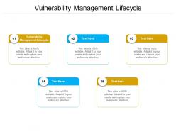 Vulnerability management lifecycle ppt powerpoint presentation infographic template format cpb