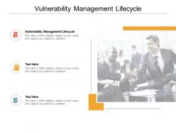Vulnerability management lifecycle ppt powerpoint presentation pictures cpb