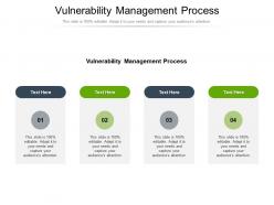 Vulnerability management process ppt powerpoint presentation layouts template cpb