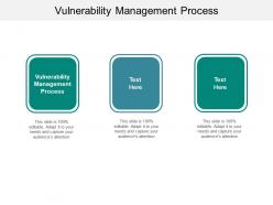Vulnerability management process ppt powerpoint presentation professional inspiration cpb