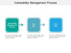 Vulnerability management process ppt powerpoint presentation show backgrounds cpb