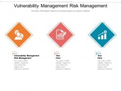 Vulnerability management risk management ppt powerpoint presentation show cpb