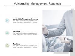Vulnerability management roadmap ppt powerpoint presentation show cpb