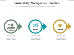 Vulnerability management statistics ppt powerpoint presentation professional clipart cpb