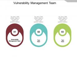 Vulnerability management team ppt powerpoint presentation slides graphics example cpb