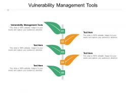 Vulnerability management tools ppt powerpoint presentation pictures designs download cpb