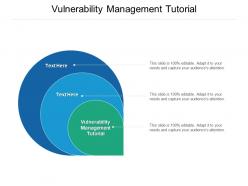Vulnerability management tutorial ppt powerpoint presentation model inspiration cpb