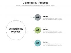 Vulnerability process ppt powerpoint presentation file layout cpb