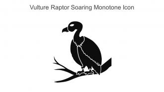 Vulture Raptor Soaring Monotone Icon In Powerpoint Pptx Png And Editable Eps Format