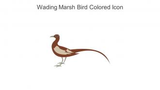 Wading Marsh Bird Colored Icon In Powerpoint Pptx Png And Editable Eps Format