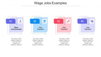 Wage Jobs Examples Ppt Powerpoint Presentation Portfolio Brochure Cpb