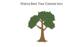 Walnut Bark Tree Colored Icon In Powerpoint Pptx Png And Editable Eps Format