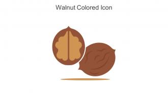 Walnut Colored Icon In Powerpoint Pptx Png And Editable Eps Format