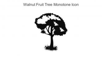 Walnut Fruit Tree Monotone Icon In Powerpoint Pptx Png And Editable Eps Format