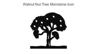Walnut Nut Tree Monotone Icon In Powerpoint Pptx Png And Editable Eps Format