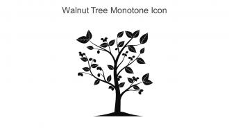 Walnut Tree Monotone Icon In Powerpoint Pptx Png And Editable Eps Format