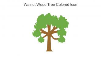 Walnut Wood Tree Colored Icon In Powerpoint Pptx Png And Editable Eps Format