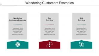 Wandering Customers Examples Ppt Powerpoint Presentation Layouts Cpb