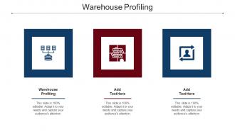 Warehouse Profiling Ppt Powerpoint Presentation Outline Images Cpb