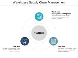 Warehouse supply chain management ppt powerpoint presentation file example file cpb