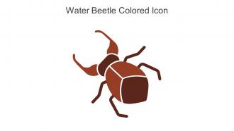 Water Beetle Colored Icon In Powerpoint Pptx Png And Editable Eps Format