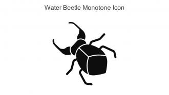 Water Beetle Monotone Icon In Powerpoint Pptx Png And Editable Eps Format
