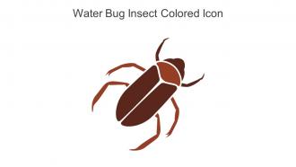 Water Bug Insect Colored Icon In Powerpoint Pptx Png And Editable Eps Format