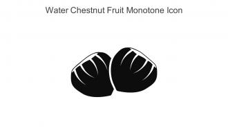 Water Chestnut Fruit Monotone Icon In Powerpoint Pptx Png And Editable Eps Format