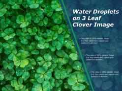 Water droplets on 3 leaf clover image