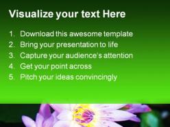 Water lilies beauty powerpoint templates and powerpoint backgrounds 0211