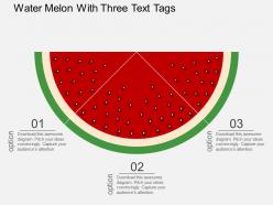 Water melon with three text tags flat powerpoint design