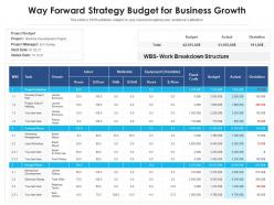 Way Forward Strategy Budget For Business Growth