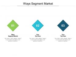 Ways segment market ppt powerpoint presentation show information cpb