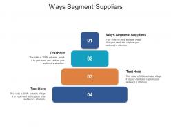 Ways segment suppliers ppt powerpoint presentation infographic template file formats cpb