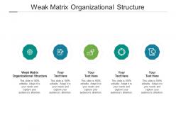 Weak matrix organizational structure ppt powerpoint presentation portfolio icon cpb
