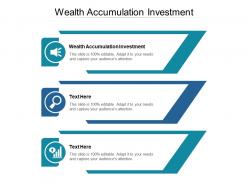 Wealth accumulation investment ppt powerpoint presentation slides example introduction cpb
