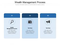 Wealth management process ppt powerpoint presentation background image cpb