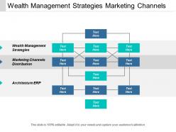 wealth_management_strategies_marketing_channels_distribution_architecture_erp_cpb_Slide01