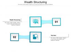 Wealth structuring ppt powerpoint presentation slides graphics example cpb