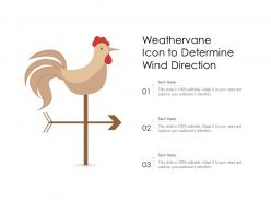 Weathervane Icon To Determine Wind Direction