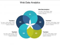 Web data analytics ppt powerpoint presentation design ideas cpb