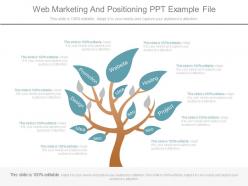 Web Marketing And Positioning Ppt Example File