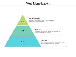 Web monetization ppt powerpoint presentation pictures slide download cpb