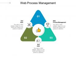 Web process management ppt powerpoint presentation file backgrounds cpb