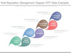 Web Reputation Management Diagram Ppt Slide Examples