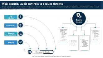 Web Security Audit Controls To Reduce Threats